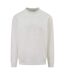Unisex Adult Arched Logo Sweatshirt Off White Blank Essentials-1