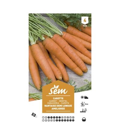 Graines potagères carotte Demi-longue Nant Amel