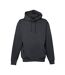 Sweat À Capuche Homme Gris Foncé Tee Jays-1