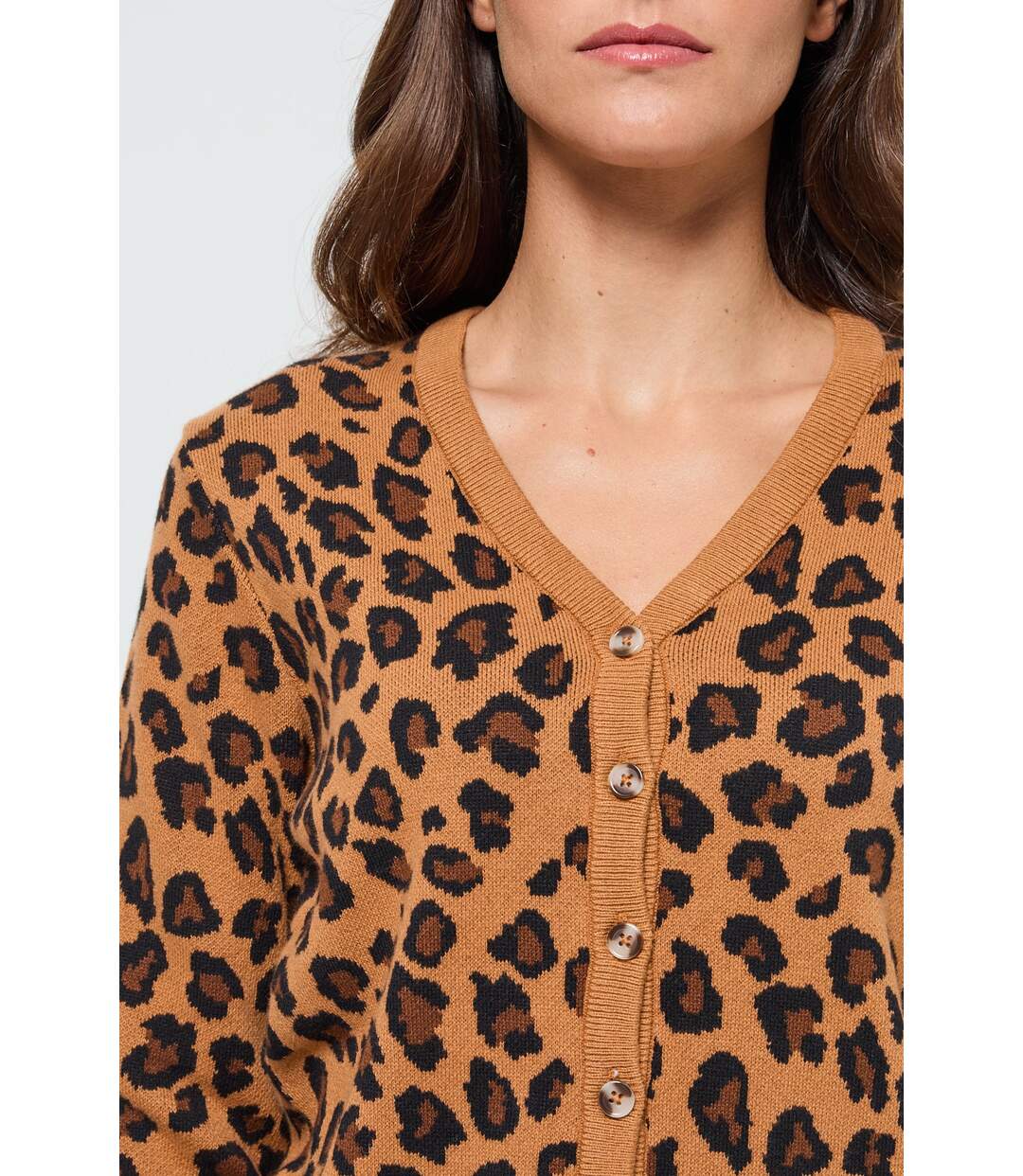 Pull Cardipar Camel-3