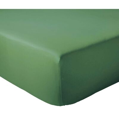 Drap housse coton EVASION Bonnet de 23 cm