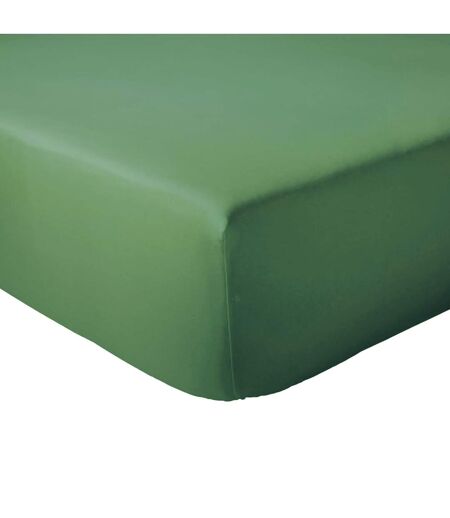 Drap housse coton EVASION Bonnet de 23 cm