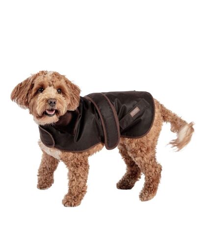 Fatface dog jacket 45cm chocolate brown Danish Design