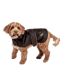 Fatface dog jacket 45cm chocolate brown Danish Design