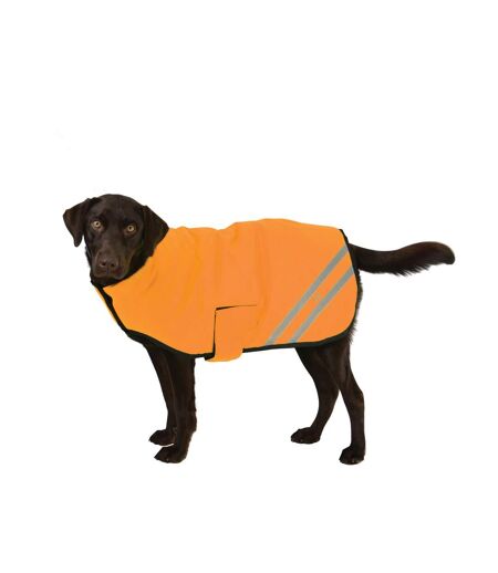 HyVIZ Reflector Waterproof Dog Coat (Orange) (3XS) - UTBZ3922