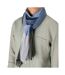 Écharpe Motif/style À Carreaux Adulte Taille Unique Gris Bleu Spasso-2