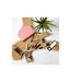 Coffret Manucure 18 Accessoires 18cm Rose-4