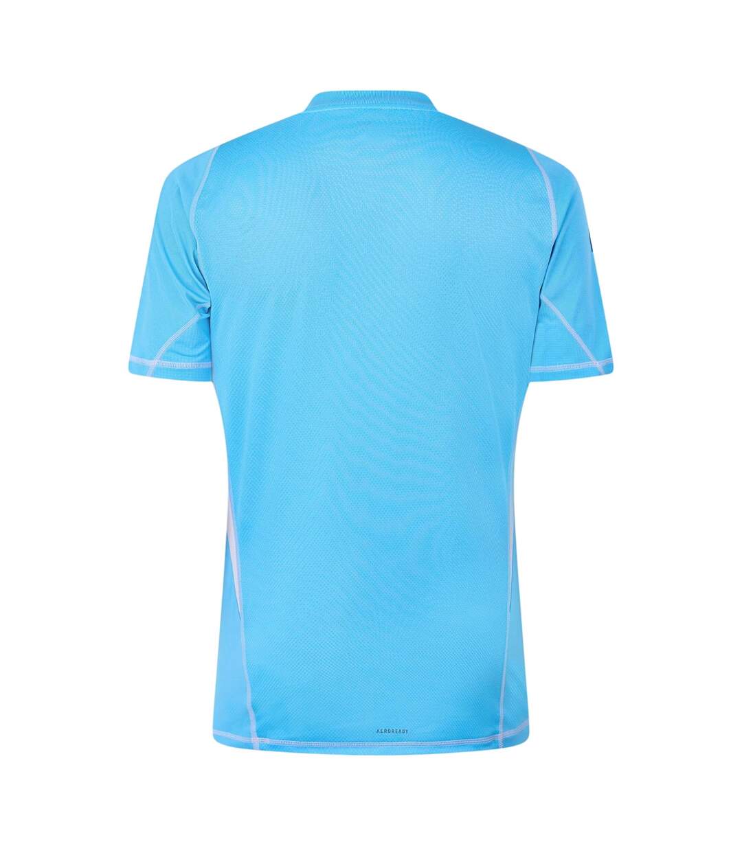Mens Tiro24 Pro Logo Goalkeeper Jersey Blue Burst Adidas-2