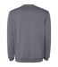 Sweat Jaya Adulte Gris Foncé Roly-2