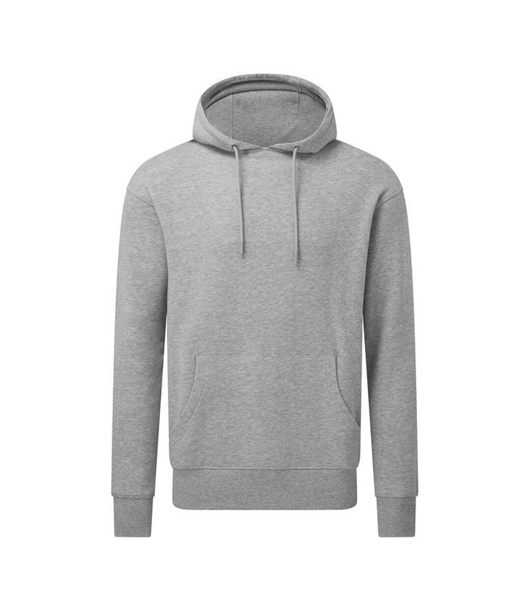 Sweat à capuche adulte gris Anthem-1