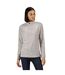 Regatta Womens/Ladies Pimlo Half Zip Fleece (Light Steel) - UTRG5295-1