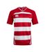 Mens Evader Hooped Vapodri Jersey Flag Red Canterbury-2