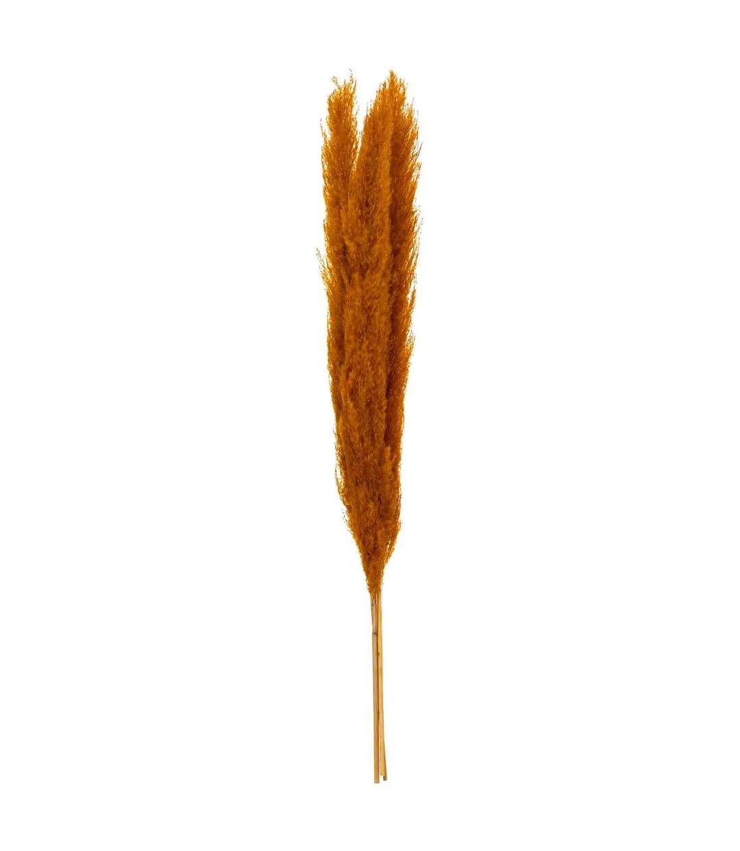Lot de 3 Fleurs Artificielles Pampa 109cm Orange-1