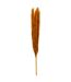 Lot de 3 Fleurs Artificielles Pampa 109cm Orange-1