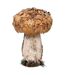 Champignon Déco Marron Glacé 27cm Naturel-1