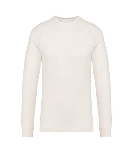 Native Spirit Unisex Adult Raglan Sweatshirt (Ivory) - UTPC6798