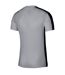 Maillot Academy Homme Gris Argenté Nike-3