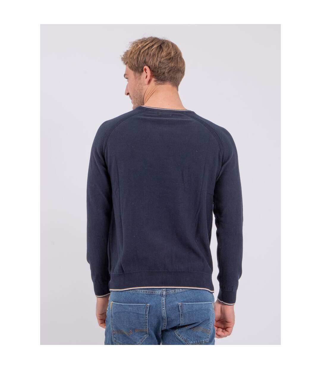 Pull col rond pur coton AMATEO-2
