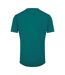 T-shirt Motif Léopard Homme Vert Cavalli Class-2