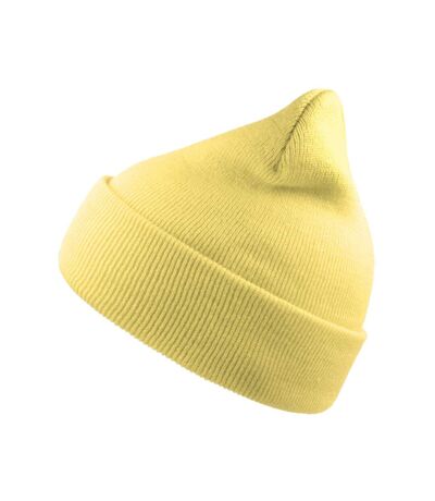 Unisex adult wind recycled cuffed beanie lemonade Atlantis