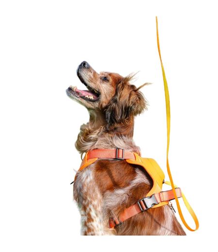 Extreme hybrid dog harness and lead set m orange Ancol