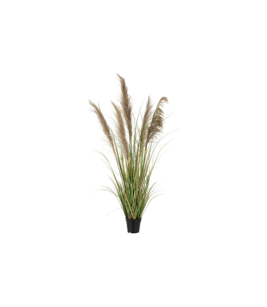 Herbe de Pampas Artificielle en Pot 5 Têtes 140cm Vert & Beige-1