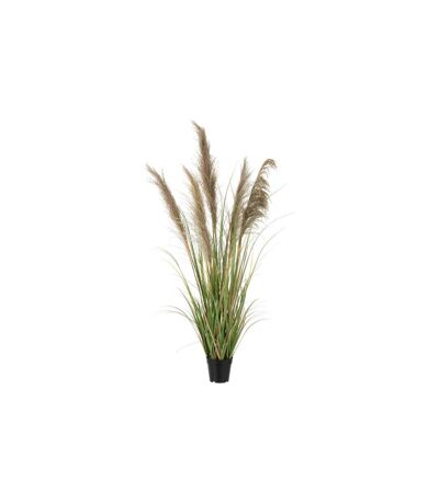 Herbe de Pampas Artificielle en Pot 5 Têtes 140cm Vert & Beige