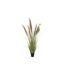 Herbe de Pampas Artificielle en Pot 5 Têtes 140cm Vert & Beige