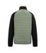 Veste Hybride Clumber Homme Vert Pâle Noir Regatta-3