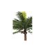 Plante Artificielle Palmier 4 Noix de Coco 350cm Vert-2