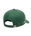 Unisex Adult Tech Logo Cotton Twill Baseball Cap Green Lacoste-2