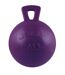 Jouet pour chiens tug-n-toss taille 4,5 violet Jolly Pets