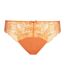 Culotte microfibre et dentelle florale Generous Essentiel-5