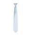 Premier Unisex Adult Satin Tie (Light Blue) (One Size)