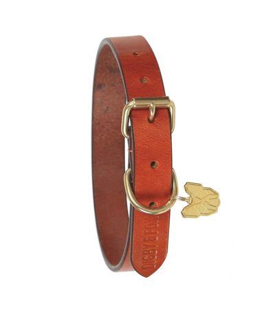Flat leather dog collar l neckline: 17.5in-20.5in tan Digby & Fox