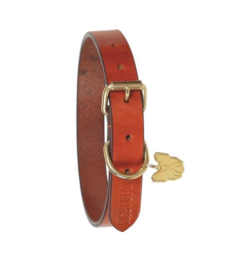 Flat leather dog collar l neckline: 17.5in-20.5in tan Digby & Fox