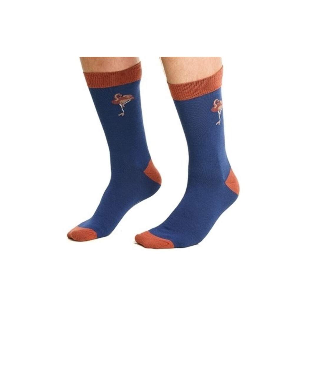 Chaussettes homme bleu Laurence Llewelyn-Bowen Laurence Llewelyn-Bowen