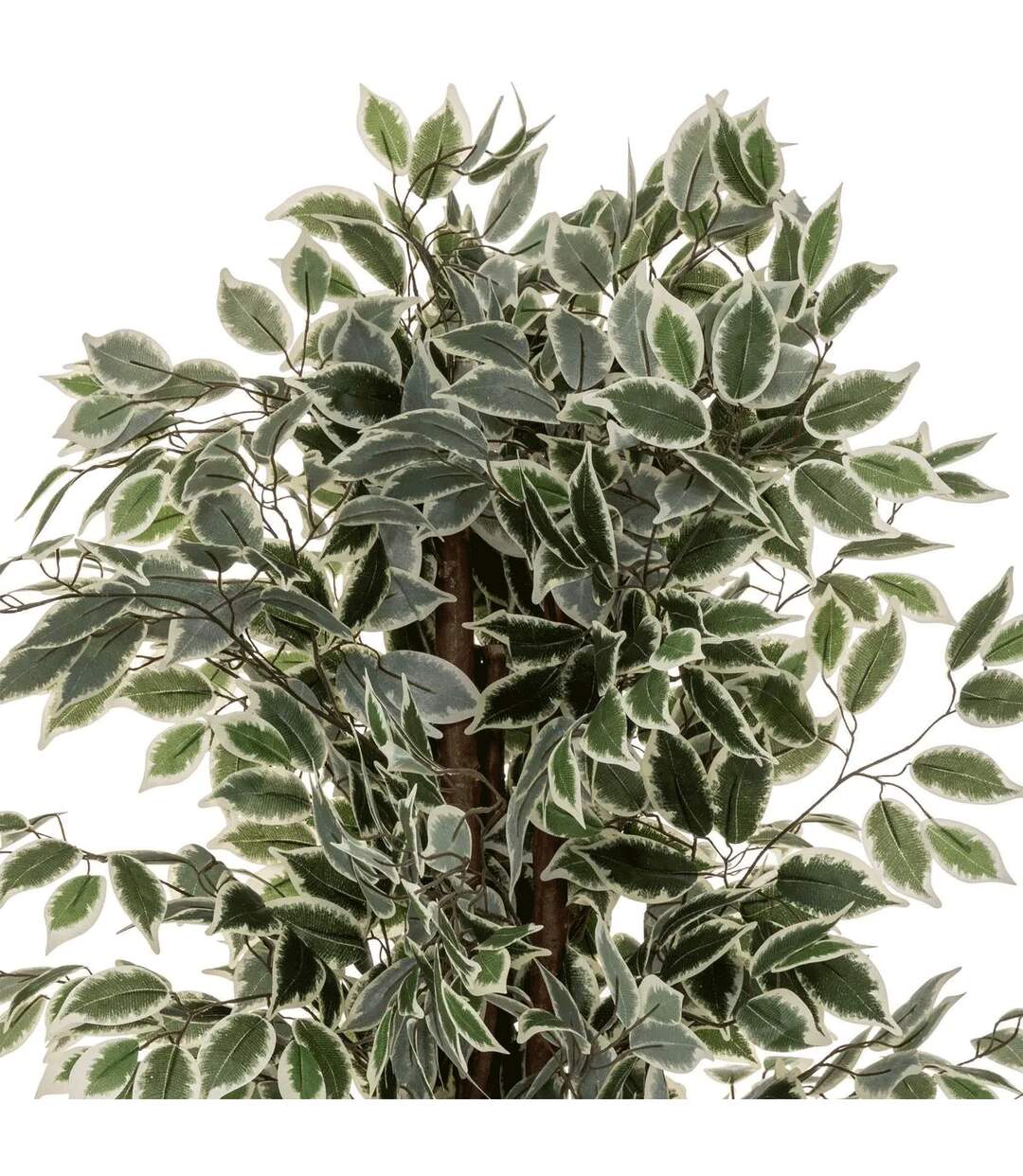 Plante Artificielle Ficus 180cm Vert-2