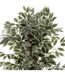 Plante Artificielle Ficus 180cm Vert-2