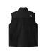 Veste Sans Manches Denali Homme Noir The North Face-2
