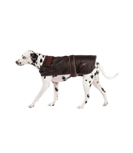 Fatface dog jacket 45cm chocolate brown Danish Design