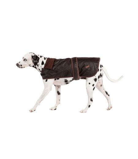 Fatface dog jacket 35cm chocolate brown Danish Design