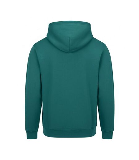 Unisex Adult College Hoodie Teal Awdis