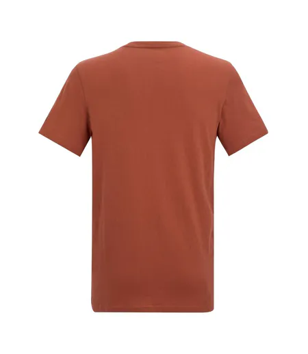 Mens Breezed Mountain Flow T-shirt Brick Regatta