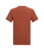 Mens Breezed Mountain Flow T-shirt Brick Regatta-3