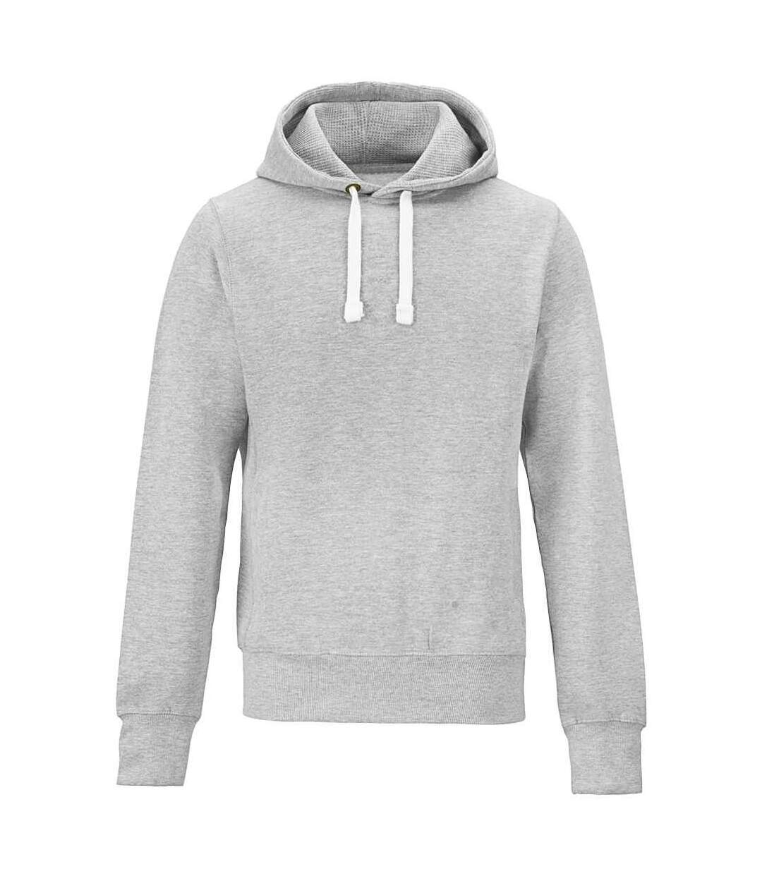 Sweat à capuche adulte gris Awdis