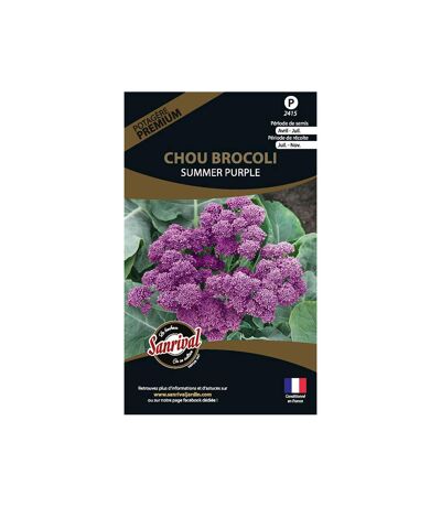Graines potagères premium chou Brocolis summer purple