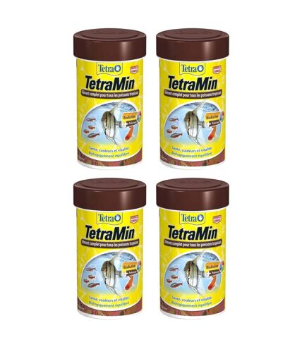 Aliment complet pour poissons tropicaux Tetramin (Lot de 4)