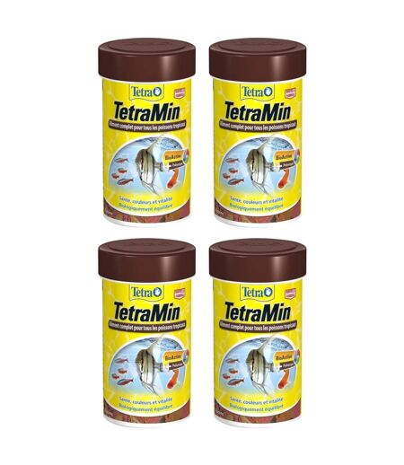 Aliment complet pour poissons tropicaux Tetramin (Lot de 4)