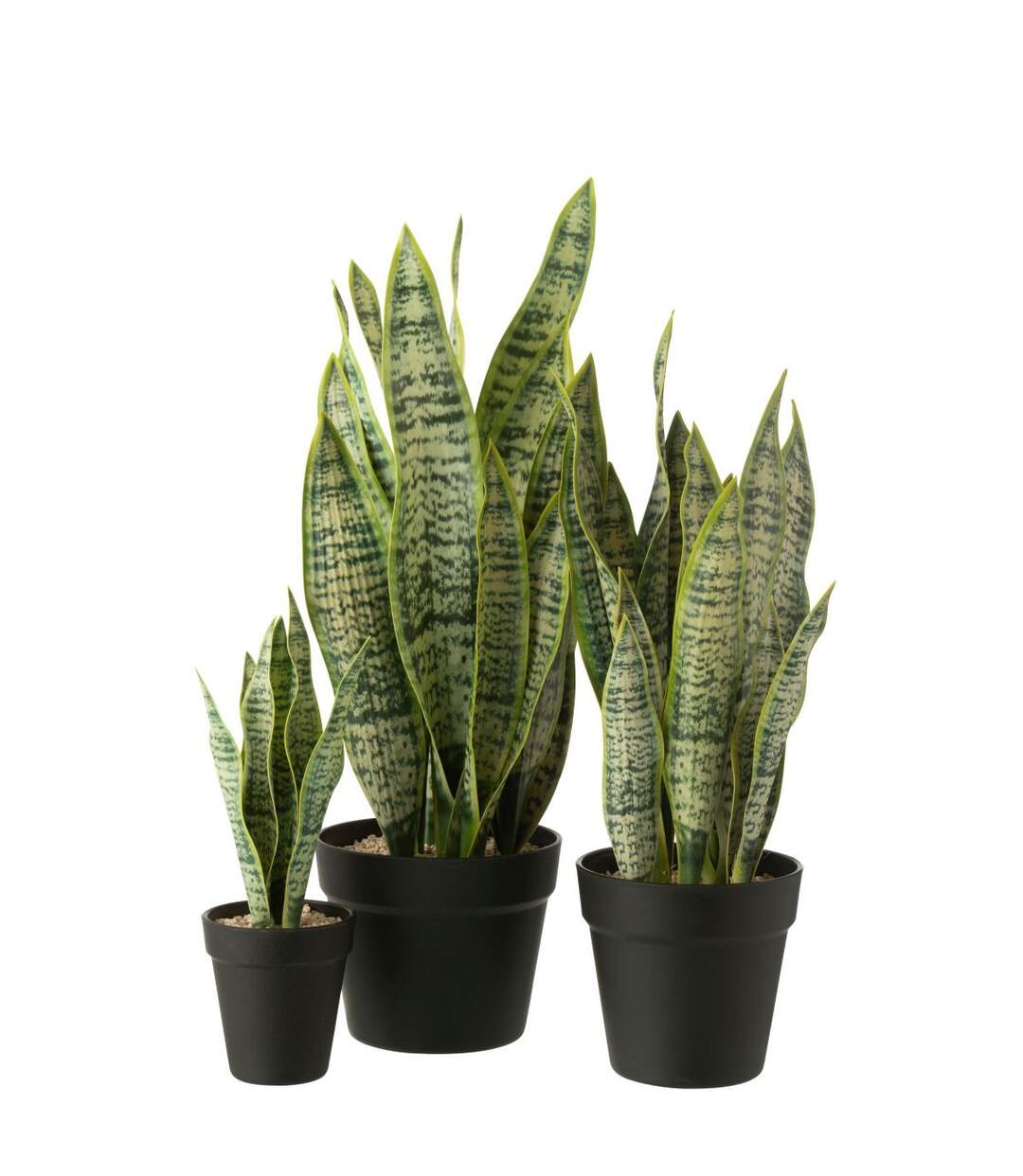 Plante Artificielle en Pot Dracaena Trifasciata 47cm Vert-2